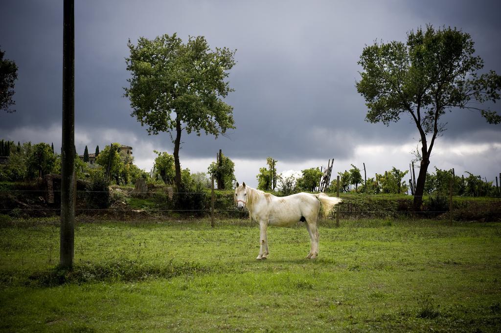Fattoria Casabianca Villa Bucine Dış mekan fotoğraf