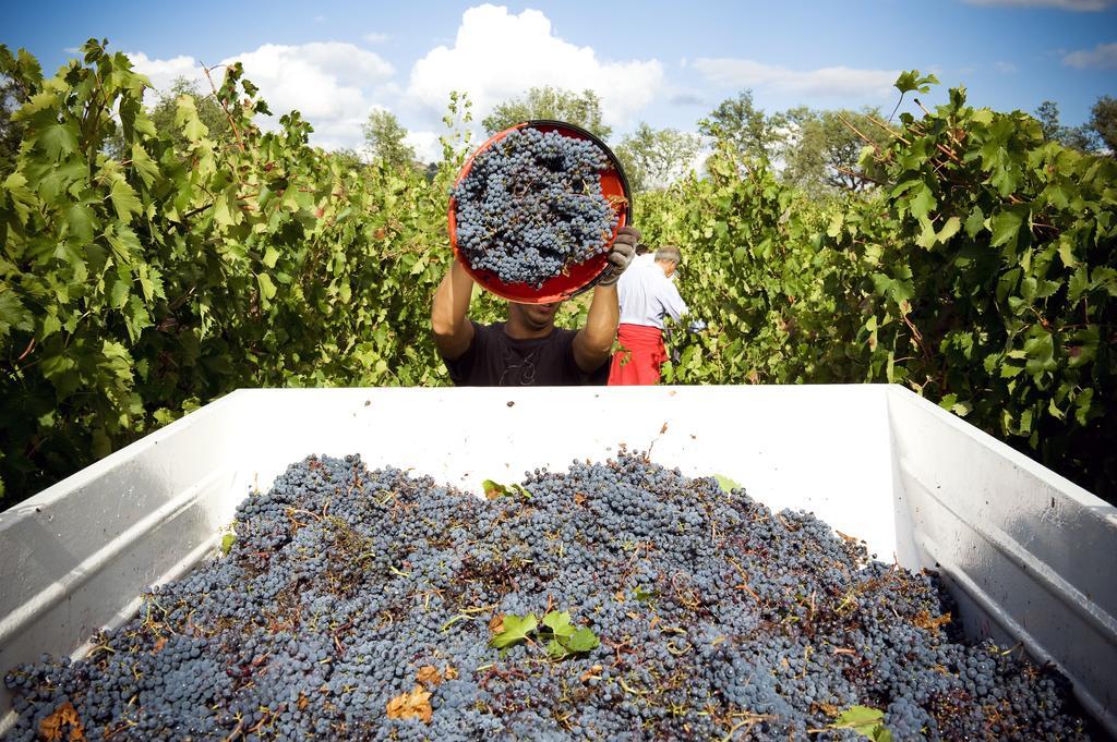 Fattoria Casabianca Villa Bucine Dış mekan fotoğraf